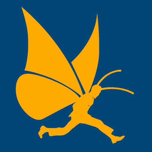 Logo Schmetterling-Verlag